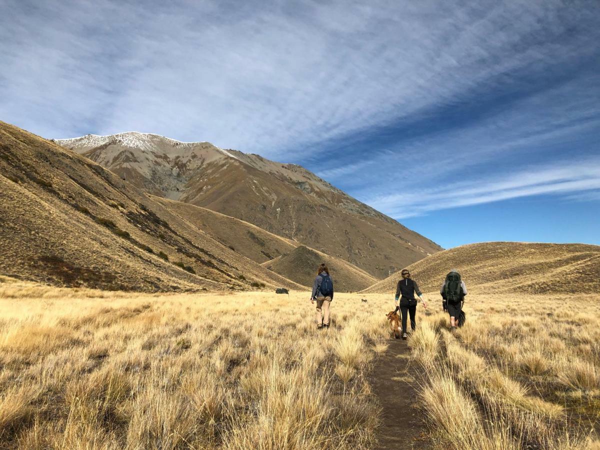 Tailor Made Tekapo Accommodation - Guesthouse & Hostel Лейк-Текапо Экстерьер фото